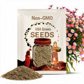 Erigeron Seeds - Karvinskianus Santa Barbara Daisy Flower Seed - 2000 Seeds