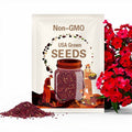 Crimson Phlox Flower Seeds - Grow Beautiful Flowers Indoors, Outdoors, In Pots, Grow Beds, Soil, Hydroponics & Aquaponics