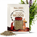 Bulk Navajo Tea Seeds, Greenthread, Thelesperma Filifolum, Medicinal Plants TL011C