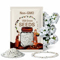 White Phlox Flower Seeds - Grow Beautiful Flowers Indoors, Outdoors, In Pots, Grow Beds, Soil, Hydroponics & Aquaponics