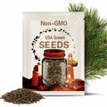 Aleppo Pine Tree Seeds (PINUS HALEPENSIS) (Jerusalem Pine)