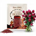Red Clover SEEDS (Trifolium pratense)