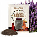 English Lavender Seeds: 5-Pack, Non GMO Heirloom Seeds