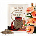 Double Peach Hibiscus Seeds - Cold Resistant, Fast Growing, Attracts Pollinators - Clumping - Plant in Early Spring #6022