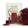 Deep Carmine Baby's Breath Seeds 500+ Gypsophila Elegans Flower USA ANNUAL