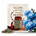 20pcs Broken Ice Blue Rose Seeds - Rare Non-GMO Heirloom Variety