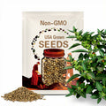 Ashwagandha Seeds – Heirloom Medicinal Herb, Indian Ginseng for Wellness, Apothecary and Therapeutic Gardens | 50 Seeds