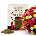 Pumila Zinnia Seeds - Known for Compact, Bushy Growth Habit and Abundant Production of Small to Medium-Sized Flowers - Country Creek Acres