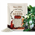 White Egg Eggplant Seeds 50+ Vegetable Solanum Melongena NON-GMO USA