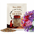 Twinkle Mix Phlox Seeds | Phlox Drummondii | Non-GMO | Flower Seeds | Seed Store | 1237