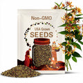 25 Jewelweed Seeds (Impatiens capensis) | Touch-Me-Not Wildflower | Hummingbird & Pollinator Friendly | Easy to Grow Native Plant