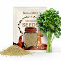 300+ Coriander Cilantro Seeds Heirloom Herb Non-GMO