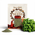 Sweet Basil Seeds - A Beloved and Widely Cultivated Annual Herb Prized for its Fragrant and Flavorful Leaves - Country Creek Acres