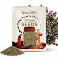 Creeping Thyme Seeds (Thymus serpyllum) , Ground Cover by Mai's Family