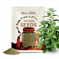 Organic Stevia Seeds | Natural Sweet Herb for Home Garden | Non-GMO Heirloom Stevia Rebaudiana Seeds | Grow Your Own Sugar Substitute