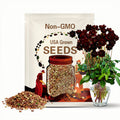 50s|Red Futaba Rare Chocolate Cosmos Mix Seeds- Open-Pollinating - Clumping - Easy To Grow - Planting In Spring/ Summer #L017.