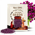 Gomphrena Purple x 25 Seeds
