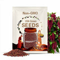 Love Lies Bleeding Seeds – Amaranthus caudatus 300 Seeds | Dramatic Cascading Blooms, Heirloom Cut Flower & Garden Accent