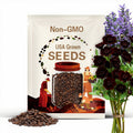 200 Chocolate Cosmos Seeds: Dark Maroon Cocoa Fragrance, Pollinator Garden