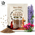 1,000 Turkish Blue Poppy Seeds – Papaver somniferum, Giant Blooms, Garden Flower