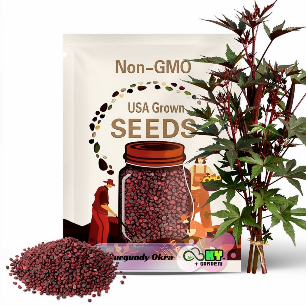 Red Burgundy Okra Seeds - Edible, High Yield, Heat Tolerant, Ornamental, Attractive Deep Red Pods, Plant in Late Spring/Early Summer