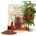 Super Sweet 100 Cherry Tomato Seeds | Solanum lycopersicum | 100+ Seeds | Sweet Mini Tomatoes | US Seller