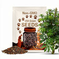 20x Paw paw Tree Seed (Asimina triloba) ~ bulk quantities - fresh seeds